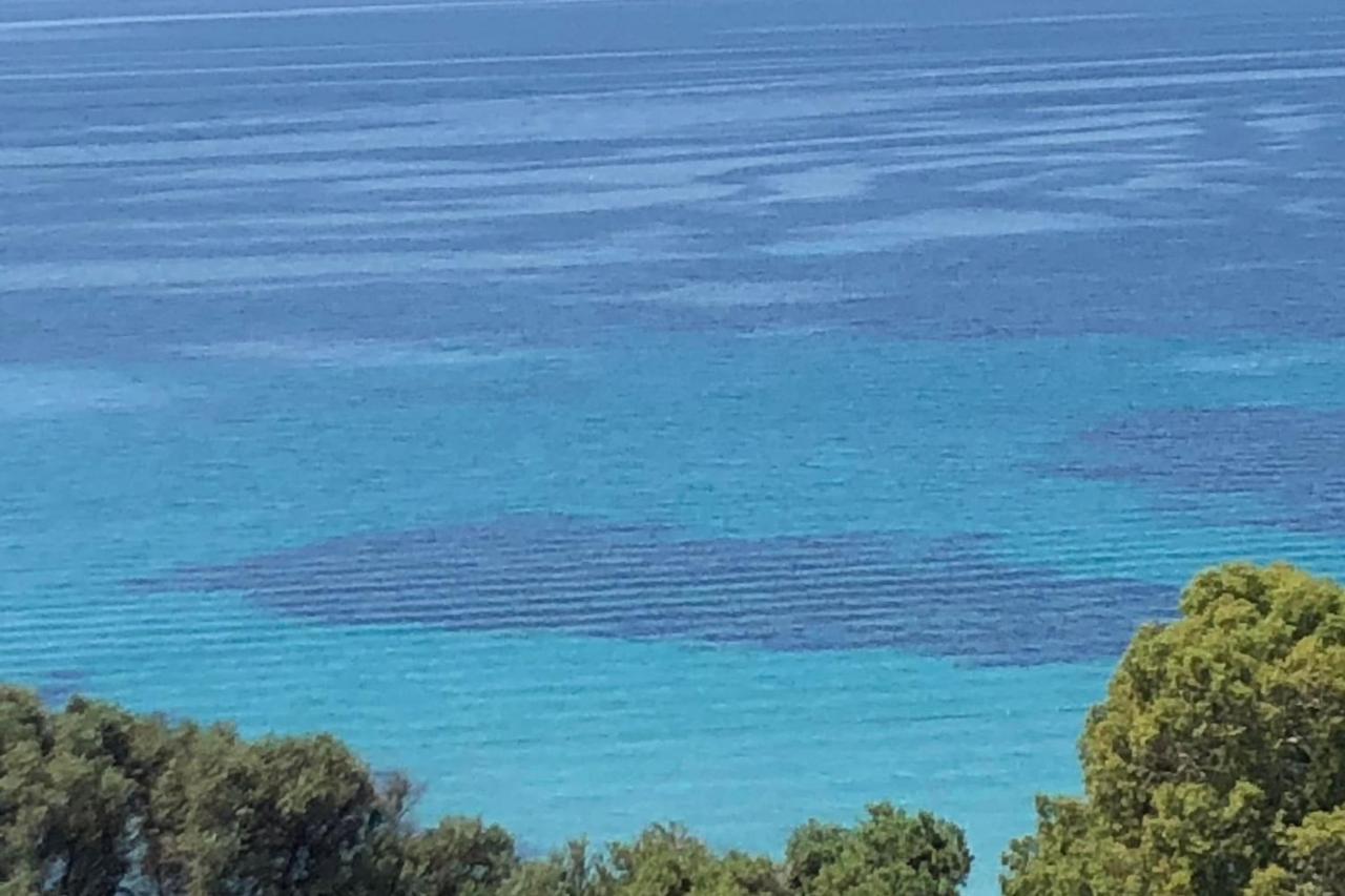 Nice And Bright 60 M With Terrace View On The Sea Ajaccio  Dış mekan fotoğraf